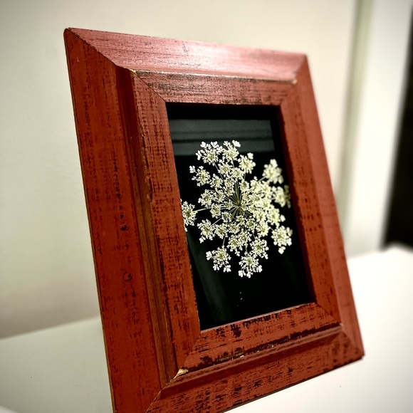 ⚘  Framed Wildflowers ⚘ - Picture 3 of 3